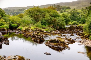 Malin Head, Donegal, İrlanda 'da engebeli bir manzara. Kayalıklı sahil, sisli bulutlu bir günde koyunlu yeşil kayalık arazi. Vahşi Atlantik Yolu bölgesi.