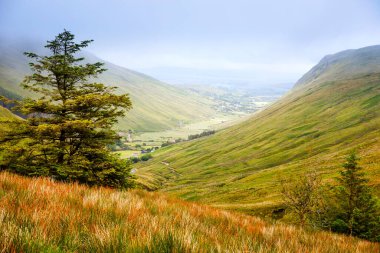 Glengesh Geçidi 'nin engebeli manzarası, Donegal ilçesi, İrlanda. Kayalıklı sahil, sisli bulutlu bir günde koyunlu yeşil kayalık arazi. Vahşi Atlantik Yolu bölgesi.