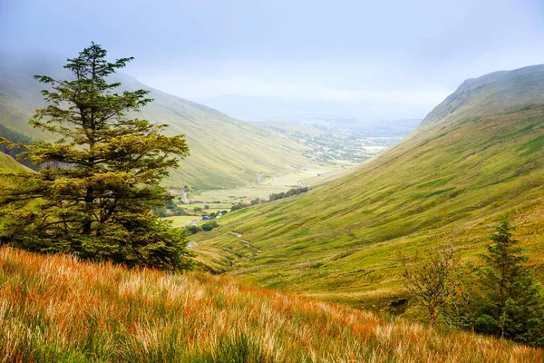 Drsná krajina v Glengesh Pass, hrabství Donegal, Irsko. Pláž s útesy, zelená skalnatá krajina s ovcemi v zamlžený oblačný den. Oblast Wild Atlantic Way. — Stock fotografie