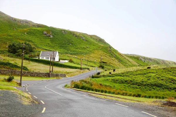 爱尔兰Donegal县Malin Head的风景很糟糕。在多雾的日子里,沙滩上有悬崖,绿色岩石上有羊.野生大西洋路地区. — 图库照片