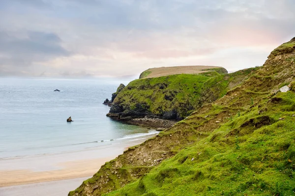 Twardy krajobraz w Malin Head, hrabstwo Donegal, Irlandia. Plaża z klifami, zielona skalista ziemia z owcami w mglisty pochmurny dzień. Region dzikiego Atlantyku. — Zdjęcie stockowe