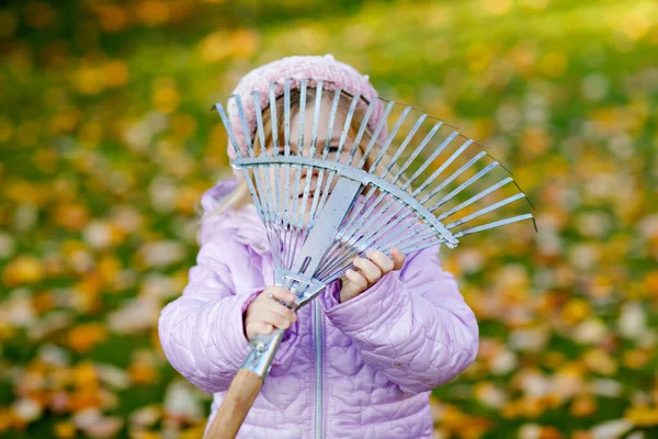 Piccola bambina che lavora con rastrello nel giardino o nel parco autunnale. Adorabile bambino sano felice divertirsi con l'aiuto di foglie cadute dagli alberi. Bel aiutante all'aperto. apprendimento dei bambini aiutare i genitori — Foto Stock