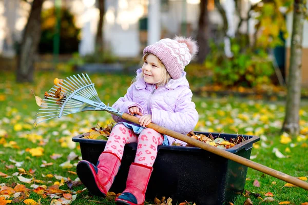 Liten småbarn flicka som arbetar med kratta i höst trädgård eller park. Bedårande glada friska barn som har roligt med att hjälpa fallna blad från träd. Söt hjälpare utomhus. hjälp föräldrar att lära barn — Stockfoto
