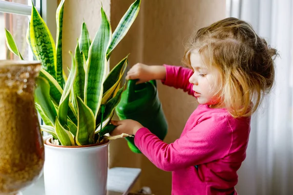 Mała dziewczynka podlewa kwiaty i rośliny w oknie w domu. Urocze dziecko pomaga, życie rodzinne. Szczęśliwy zdrowy dzieciak trzyma puszkę wody, pracując i opierając pomoc. Zielona, koncepcja ochrony środowiska. — Zdjęcie stockowe
