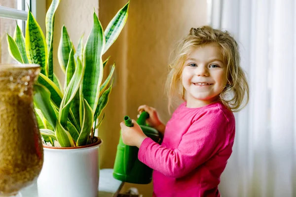 家の窓に小さな幼児の女の子が花や植物を散水します。かわいい子供を助けて、国内生活。幸せな健康な子供は水を保持することができます,仕事と傾きの助け.緑、環境の概念. — ストック写真