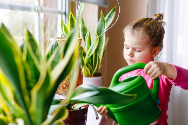 Little toddler girl watering flowers and plants on window at home. Cute child helping, domestic life. Happy healthy kid holding water can, working and leaning help. Greenery, environment concept. — Stock Photo, Image