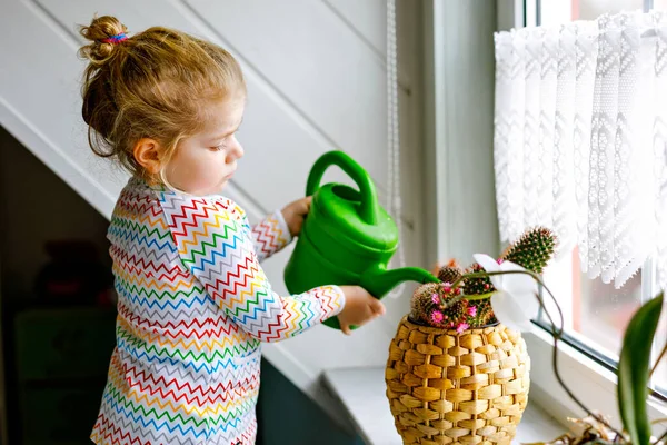Petite fille tout-petit arrosant fleurs et plantes de cactus sur la fenêtre à la maison. Enfant mignon aidant, la vie domestique. Heureux enfant en bonne santé tenant l'eau peut, s'appuyant sur l'aide. Verdure, concept d'environnement. — Photo
