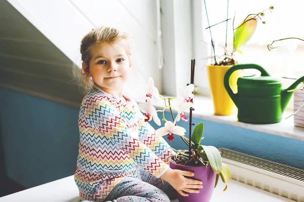 Little toddler girl watering flowers and orchid plants on window at home. Cute child helping, domestic life. Happy healthy kid holding water can, leaning help. Greenery, environment concept. — Stock Photo, Image