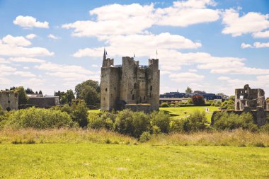 İrlanda, Boyne Nehri 'ndeki County Meath' deki Trim kalesinin panoramik görüntüsü. İrlanda 'daki en büyük Anglo-Norman kalesidir.