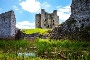 İrlanda, Boyne Nehri 'ndeki County Meath' deki Trim kalesinin panoramik görüntüsü. İrlanda 'daki en büyük Anglo-Norman kalesidir.