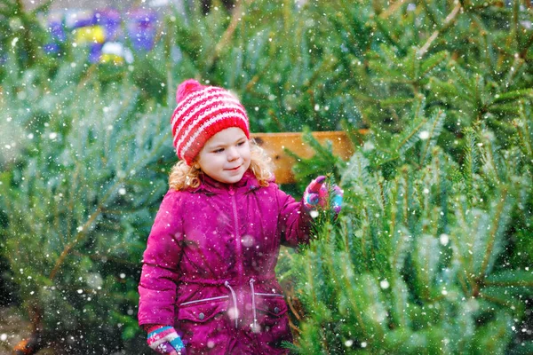 Adorable little toddler girl holding Christmas tree on market. Happy healthy baby child in winter fashion clothes choosing and buying big Xmas tree in outdoor shop. Family, tradition, celebration. — Stock Photo, Image