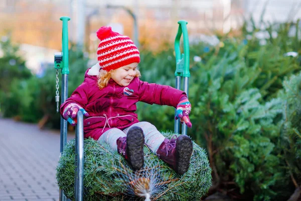 Roztomilé malé batole dívka s vánočním stromečkem na nákupním košíku nebo vozíku na trhu. Šťastné zdravé dítě v zimě módní oblečení výběru a nákup velkého vánoční strom ve venkovním obchodě. — Stock fotografie