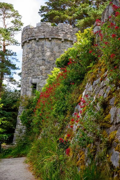 北爱尔兰Donegal的Glenveagh城堡。格伦韦赫国家公园美丽的公园和花园，是该国第二大公园。爱尔兰语Gleann Bheatha — 图库照片