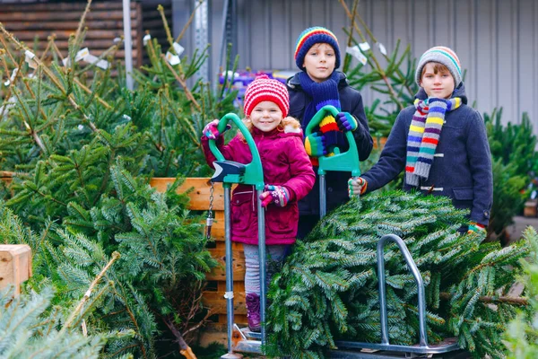 Tři malí sourozenci: batolata a dva kluci držící vánoční stromeček na trhu. Šťastné děti v zimním oblečení výběr a nákup stromu ve venkovním obchodě. Rodina, tradice, oslavy — Stock fotografie