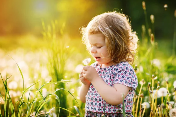 Adorable linda niña soplando en una flor de diente de león en la naturaleza en el verano. Feliz niño hermoso niño sano con blowball, divirtiéndose. Luz de puesta de sol brillante, niño activo. — Foto de Stock