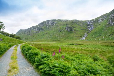 Glenveagh Ulusal Parkı, Donegal, Kuzey İrlanda. Yeşil yosun ormanı, gölü, parkı ve şelalesi olan güzel, engebeli bir arazi. Ülkenin ikinci büyük parkı. İrlanda dilinde Gleann Bheatha