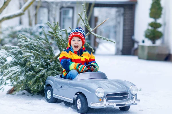 Grappig klein lachend kind jongen rijden speelgoed auto met kerstboom. — Stockfoto