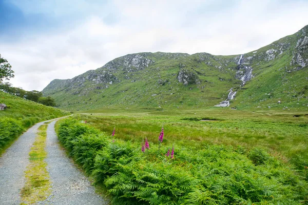 Glenveagh National Park, Donegal en Irlanda del Norte. Hermoso paisaje áspero con bosque de musgo verde, lago, parque y cascada, segundo parque más grande del país. Gleann Bheatha en lengua irlandesa —  Fotos de Stock