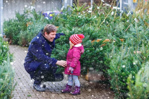Little toddler girl and father holding Christmas tree on a market. Happy family, cute baby child daughter and middle aged man in winter fashion clothes choosing and buying Xmas tree in outdoor shop. — Stock Photo, Image
