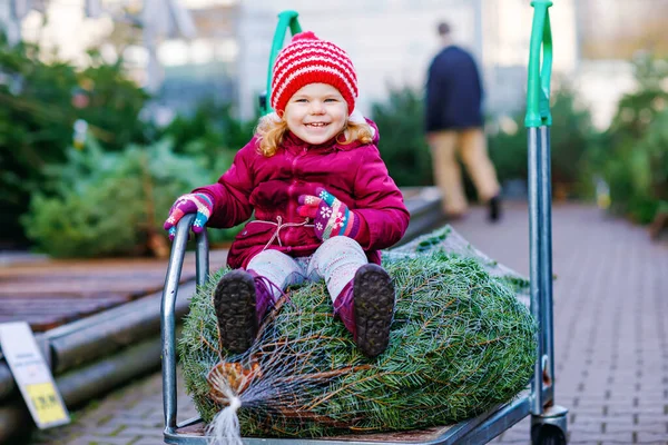 Adorable niña pequeña con árbol de Navidad en el carrito de la compra o carrito en el mercado. Feliz bebé sano en invierno ropa de moda elegir y comprar gran árbol de Navidad en la tienda al aire libre. —  Fotos de Stock