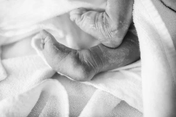 Pies del recién nacido segundos y minutos después del nacimiento. Linda niña recién nacida en toalla. Nueva vida, inicio, salud — Foto de Stock