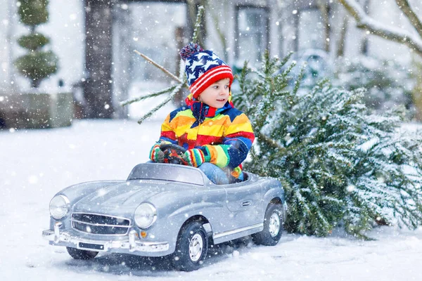 Schattig klein lachend jongetje in een oldtimerspeelgoedauto met kerstboom. Gelukkig kind in de winter mode kleding brengen gehakte kerstboom uit besneeuwd bos. Familie, traditie, vakantie — Stockfoto