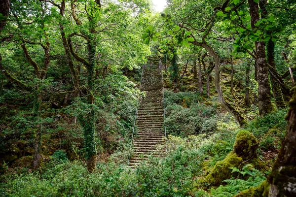 Glenveagh National Park, Donegal en Irlanda del Norte. Hermoso paisaje áspero con bosque de musgo verde, lago, parque y cascada, segundo parque más grande del país. Gleann Bheatha en lengua irlandesa — Foto de Stock