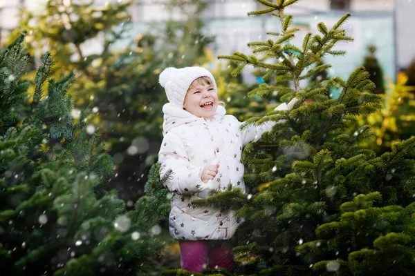 Adorable little toddler girl holding Christmas tree on market. Happy healthy baby child in winter fashion clothes choosing and buying big Xmas tree in outdoor shop. Family, tradition, celebration. — Stock Photo, Image