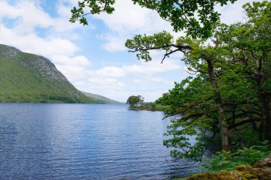Glenveagh Ulusal Parkı, Donegal, Kuzey İrlanda. Yeşil yosun ormanı, gölü, parkı ve şelalesi olan güzel, engebeli bir arazi. Ülkenin ikinci büyük parkı. İrlanda dilinde Gleann Bheatha