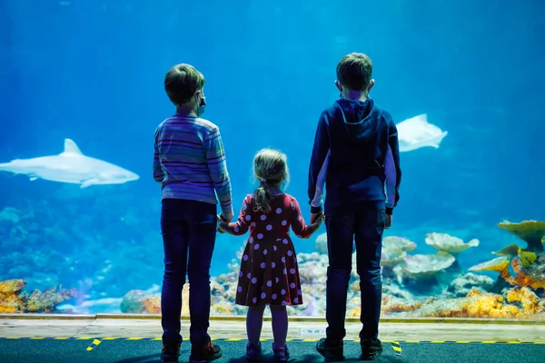 Dois meninos crianças e menina visitando juntos jardim zoológico aquário. Três crianças a ver peixes e medusas. Meninos da escola que usam máscaras médicas devido à pandemia do vírus da Coroa. Família em estadiamento — Fotografia de Stock