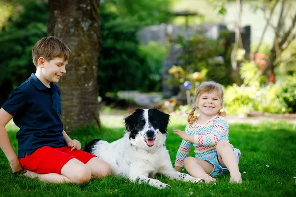 Enfant de l'école garçon et petite fille tout-petit jouer avec chien de famille dans le jardin. Deux enfants, adorables frères et sœurs qui s'amusent avec le chien. Joyeux famille à l'extérieur. Amitié et amour entre animaux de compagnie et enfants — Photo