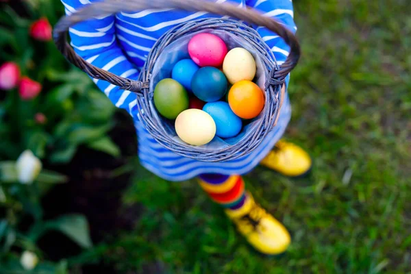 Primer plano de las manos de un niño pequeño sosteniendo la cesta con huevos de colores. Niño divirtiéndose con la tradicional caza de huevos de Pascua, al aire libre. Celebración de la fiesta cristiana —  Fotos de Stock