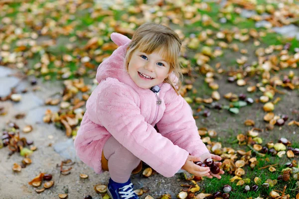 Adorable linda niña recogiendo castañas en un parque en el día de otoño. Niño feliz divirtiéndose con la búsqueda de castaño y follaje. Actividades otoñales con niños. —  Fotos de Stock