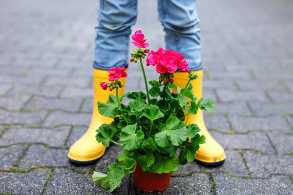 Close-up van kinderen kauwgom laarzen en geranium bloem zaailingen in groentetuin. kind tuinieren op lentedag. — Stockfoto