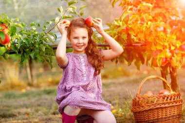 Renkli giysiler içinde küçük okul kızı portresi ve organik meyve bahçesinde kırmızı elmalı lastik çizmeler. Sevimli sağlıklı bebek ağaçlardan taze meyve topluyor ve eğleniyor..