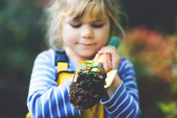 Adorable little toddler girl holding garden shovel with green plants seedling in hands. Cute child learn gardening, planting and cultivating vegetables in domestic garden. Ecology, organic food. — Stock Photo, Image