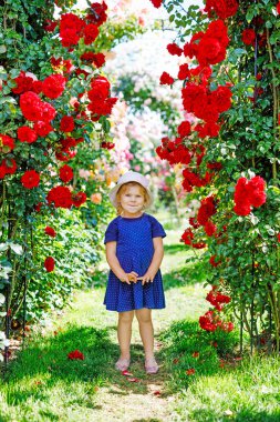 Çiçek açan gül bahçesinde küçük bir kızın portresi. Yaz güneşli bir günde parkta güllerle ve çiçeklerle eğlenen sevimli güzel bir çocuk. Mutlu gülümseyen bebek.