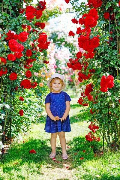 Portret van een kleuter in een bloeiende rozentuin. Schattig mooi mooi kind dat plezier heeft met rozen en bloemen in een park op zomerse zonnige dag. Gelukkig lachende baby. — Stockfoto