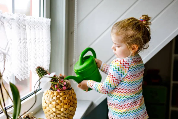 Petite fille tout-petit arrosant fleurs et plantes de cactus sur la fenêtre à la maison. Enfant mignon aidant, la vie domestique. Heureux enfant en bonne santé tenant l'eau peut, s'appuyant sur l'aide. Verdure, concept d'environnement. — Photo