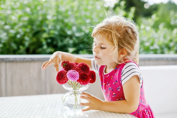 赤とピンクのダリアの花の花束を賞賛する小さな幼児の少女の肖像画。かわいい幸せな子供の匂いと晴れた夏の日に花を数える. — ストック写真