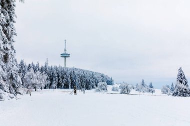 Soğuk bir gecede ormandaki çam ağaçları karla kaplıdır. Muhteşem kış manzarası, Kış Harikalar Diyarı. Almanya, Hesse, Hoherodskodskopf