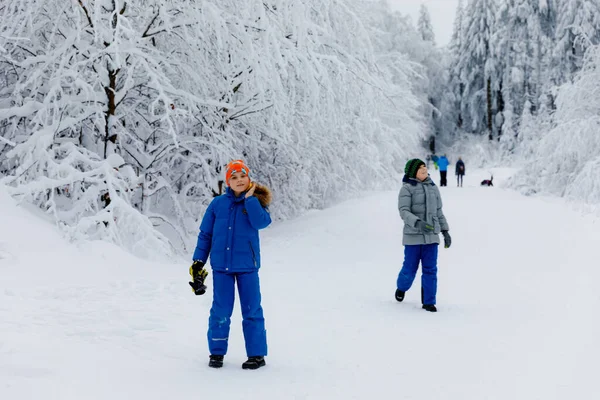 两个小学生在雪地的冬季森林里散步.冬天快乐的孩子们在户外玩得很开心。家人，兄弟姐妹和兄弟一起远足，一起散步，户外。与孩子的积极闲暇 — 图库照片