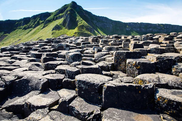 Camino de la Calzada del Paisaje de los Gigantes con un cielo azul en verano en Irlanda del Norte, Condado de Antrim. Patrimonio de la UNESCO. Es un área de columnas de basalto, el resultado de una antigua erupción de fisura volcánica — Foto de Stock