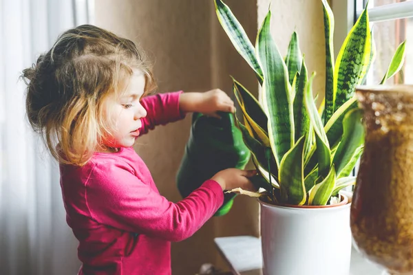 Niña regando flores y plantas en la ventana de su casa. Lindo niño ayudando, la vida doméstica. Feliz niño sano sosteniendo la lata de agua, el trabajo y la ayuda inclinada. Verde, concepto de medio ambiente. —  Fotos de Stock