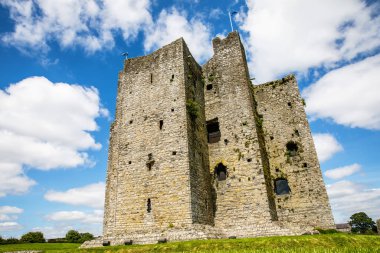 İrlanda, Boyne Nehri 'ndeki County Meath' deki Trim kalesinin panoramik görüntüsü. İrlanda 'daki en büyük Anglo-Norman kalesidir.