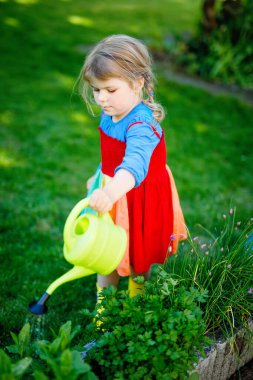 Sarı lastik çizmeli, renkli elbiseli, bahar çiçeklerini su kutusuyla sulayan küçük, güzel bir kız çocuğu. Mutlu çocuk aile bahçesinde, açık havada yardım ediyor..