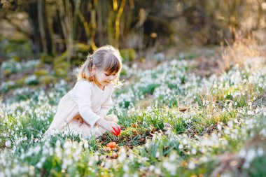Güneşli bir günde, açık havada bahar ormanlarında Paskalya yumurtası avına çıkan küçük kız. Bir sürü kartopu çiçeği ve renkli yumurtası olan sevimli, mutlu bir çocuk. İlkbahar, Hıristiyan bayramı konsepti.
