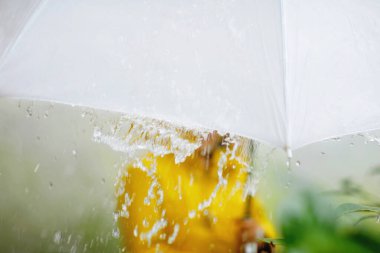 Güzel, küçük bir çocuk okula giderken yağmurlu ve soğuk bir günde şemsiyeli kar ve yağmurlu havada yürüyor. Renkli sarı ceketli mutlu ve neşeli çocuk. Günlük kıyafetler.