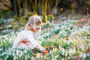 Güneşli bir günde, açık havada bahar ormanlarında Paskalya yumurtası avına çıkan küçük kız. Bir sürü kartopu çiçeği ve renkli yumurtası olan sevimli, mutlu bir çocuk. İlkbahar, Hıristiyan bayramı konsepti.