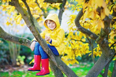 Küçük şirin çocuk sonbahar günü ağaca tırmanmaktan zevk alıyor. Renkli sonbahar kıyafetleri içinde anaokulu çocuğu tırmanmayı öğreniyor, bahçede eğleniyor ya da güneşli bir günde park ediyor.
